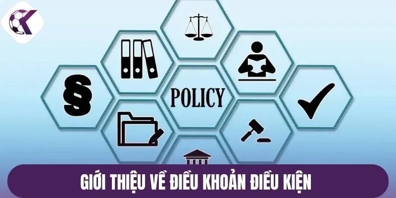 Giới thiệu về điều khoản điều kiện