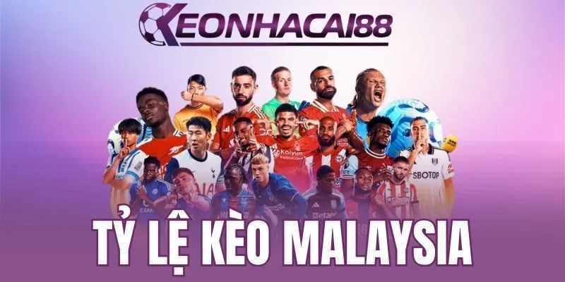 Người chơi nên áp dụng bí quyết soi kèo hiệu quả