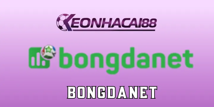 Bongdanet - Theo dõi tin tức, soi kèo bóng đá toàn diện
