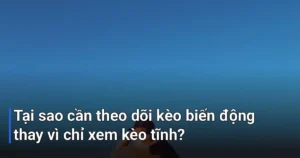 Nhiều người mới chơi thường chỉ nhìn vào tỷ lệ kèo ở thời điểm trước vài phút giờ bóng lăn - kinh nghiệm theo dõi kèo biến