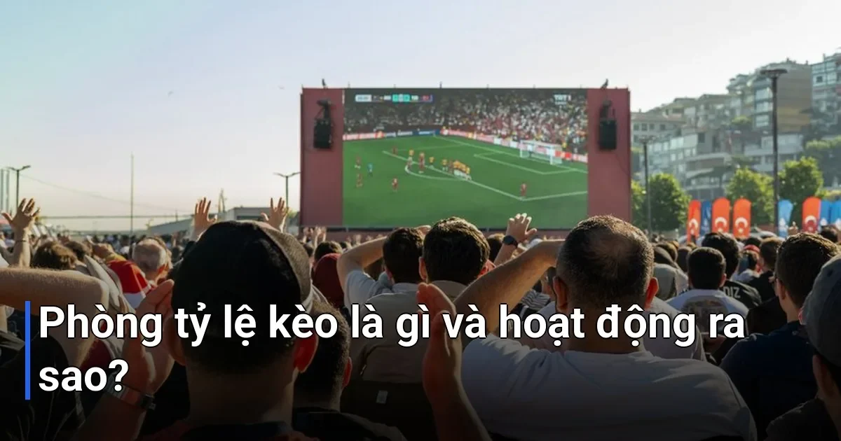 hiểu nhà cái tính kèo như thếnào, trước tiên bạn cần biết về