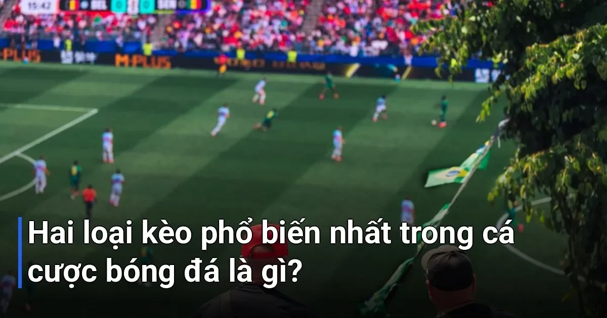 Kèo châu Á và kèo châu Âu là hai dạng cược xuất hiện ở hầu hết mọi trận bóng đá - phân biệt kèo châu Á và kèo châu Âu